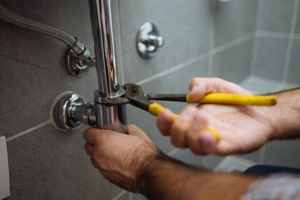 Best Commercial Plumbing Services  in Woodburn, IN